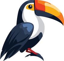 Colorful Toucan with a Large Beak vector