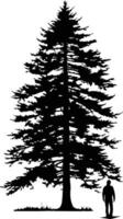 A solitary figure stands in awe beneath a towering pine tree, its branches reaching towards the sky vector