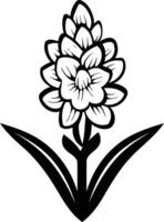 Elegant black and white illustration of a hyacinth flower, perfect for botanical prints, branding, or floral design projects vector