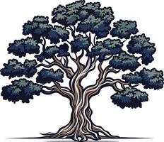 A detailed illustration of a large, ancient oak tree with gnarled branches and deep green foliage vector