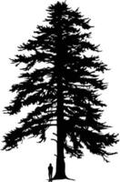 Silhouette of a tall evergreen tree with a single person standing in front of it vector