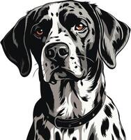 A detailed, black and white illustration of a dalmatian dog's head with a collar, looking directly at the viewer vector