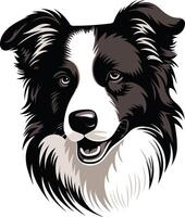 A striking black and white illustration of a border collie's head, showcasing its intelligent and alert expression vector