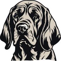 Portrait of a Dog with Droopy Ears vector