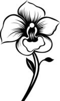 Elegant black and white illustration of an orchid flower, perfect for adding a touch of nature to designs, websites, and more vector