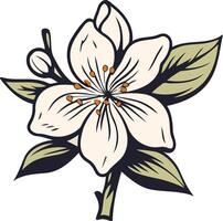 A delicate illustration of a single white flower with green leaves, perfect for adding a touch of nature to your designs vector