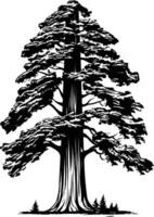 A striking silhouette of a towering redwood tree, emphasizing its imposing stature and majestic presence vector