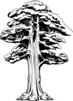 A striking black and white illustration of a solitary tree, perfect for adding a touch of nature to your designs vector