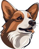 Portrait of a Happy Corgi vector