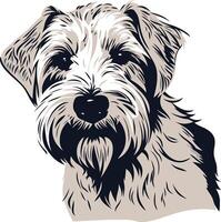 A detailed line drawing of a cute, scruffy terrier dog with a friendly expression vector