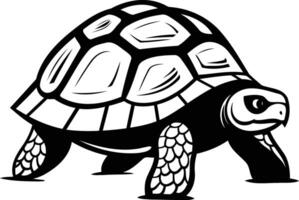 Black and white illustration of a tortoise with detailed shell and legs vector
