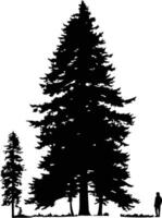 Silhouette of a tall evergreen tree with a small tree in the foreground and a person standing in the distance vector