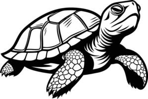 Black and white illustration of a turtle with a detailed shell and textured limbs, perfect for logo design, branding, or print media vector