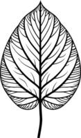 A simple yet elegant black and white line drawing of a single leaf vector