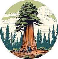 A majestic redwood tree stands tall in a forest, its vast size dwarfed only by the towering sky above vector