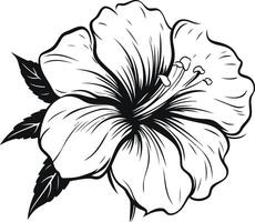 Elegant line art hibiscus flower with detailed petals vector