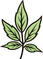 Simple and elegant green leaf illustration, perfect for nature-themed branding, logos, and website designs vector