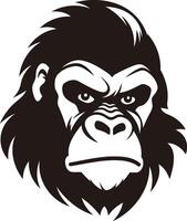 A powerful black and white illustration of a gorilla's face, perfect for adding a strong and bold presence to your designs vector