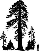 A dramatic silhouette of a towering redwood tree, with smaller pines surrounding it vector