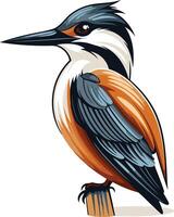 Kingfisher Bird Perched on a Branch vector