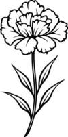 Simple line art illustration of a carnation flower, perfect for adding a touch of elegance to your designs vector