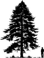 A majestic silhouette of a tall evergreen tree with a single figure standing in the foreground, emphasizing the tree's towering presence vector