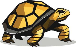 Geometric Illustration of a Tortoise vector
