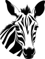 A striking black and white illustration of a zebra's head, showcasing its distinctive stripes and intense gaze vector