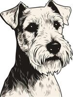 Portrait of a Wirehaired Dachshund vector