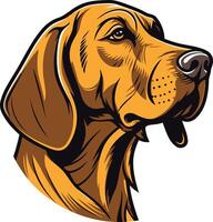 A detailed, illustration of a german shorthaired pointer's head, perfect for pet owners, breeders, or hunting-related projects vector