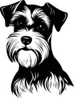 A striking black and white illustration of a miniature schnauzer, perfect for pet lovers, dog owners, and those looking for a bold and simple design vector