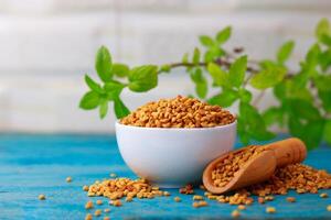 Fenugreek seeds in a bowl on a blue background with green leaves photo
