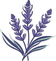 Simple yet elegant lavender illustration, perfect for branding, websites, or social media vector
