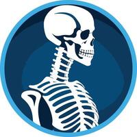 A simple yet striking illustration of a human skeleton in profile, encased in a blue circle vector