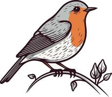 Illustration of a Robin Bird Perched on a Branch vector