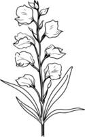 Elegant line art illustration of a delicate flower, perfect for adding a touch of nature to your designs vector