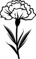 A simple yet elegant black and white illustration of a single carnation flower vector