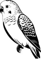 A striking black and white illustration of a budgie, capturing its intricate plumage and perched stance vector