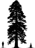 A dramatic silhouette of a towering evergreen tree, emphasizing its majestic presence vector