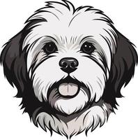 Adorable cartoon illustration of a fluffy, happy shih tzu dog with big eyes and a playful tongue sticking out vector