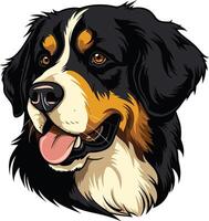 Portrait of a Bernese Mountain Dog vector