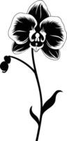 Elegant black and white silhouette of an orchid flower, perfect for adding a touch of beauty to your designs vector