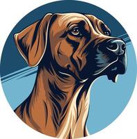 A striking portrait of a rhodesian ridgeback, capturing its regal presence and intelligent gaze vector
