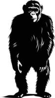 A dramatic black and white silhouette of a chimpanzee standing, ready for your design projects vector