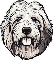 A Portrait of a White and Black Sheepdog vector