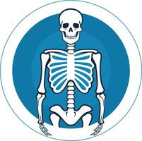 Simple and striking skeleton icon in a blue circle, perfect for medical, health, and science branding vector