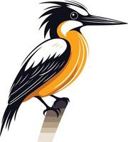 Illustration of a KingFisher Perched on a Branch vector