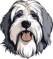 Portrait of a Smiling Bearded Collie vector