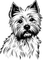A black and white line drawing of a west highland white terrier, looking directly at the viewer with a sweet expression vector