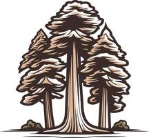 A classic illustration of three towering redwood trees, representing strength, longevity, and resilience vector
